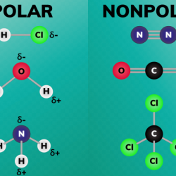 Is salicylic acid polar or nonpolar