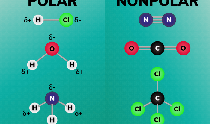 Is salicylic acid polar or nonpolar