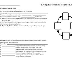 Living environment regents review packet