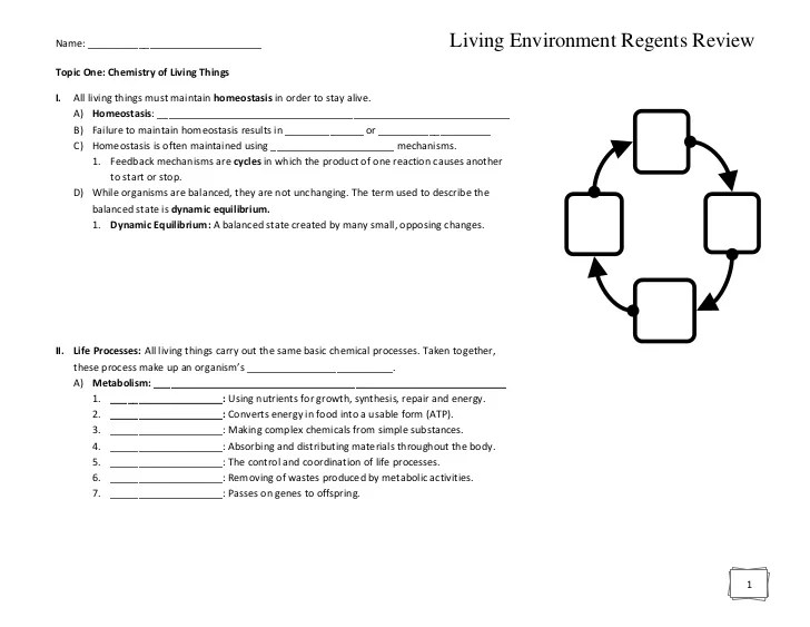 Living environment regents review packet