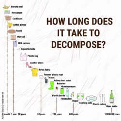 How long does it take for fingernails to decompose