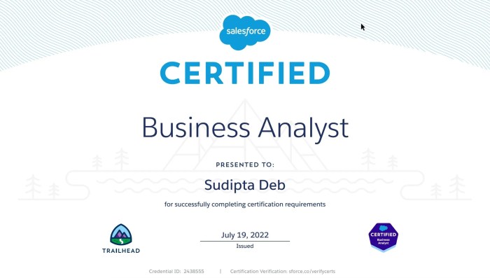 Salesforce business analyst certification practice test